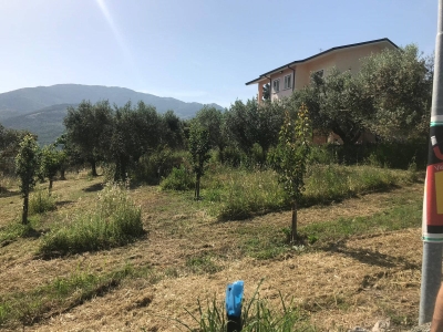 immagine annuncio 3 di 6