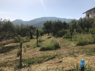 immagine annuncio 4 di 6
