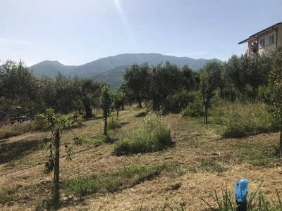 immagine annuncio 1 di 6