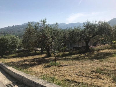 immagine annuncio 5 di 6