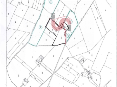 immagine annuncio 1 di 3