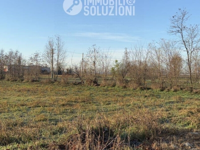 immagine annuncio 3 di 8