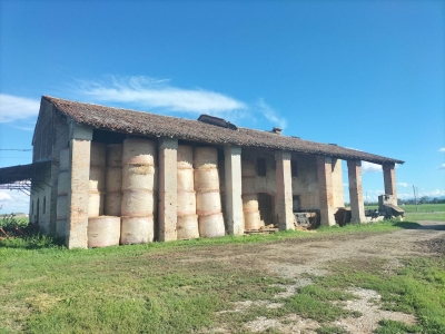 immagine annuncio 2 di 4