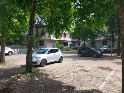 immagine annuncio 3 di 9