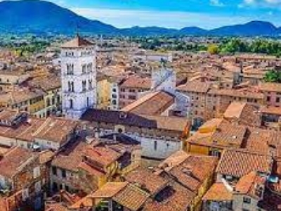 immagine annuncio 4 di 9