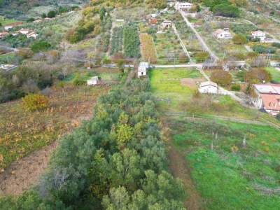 immagine annuncio 3 di 9