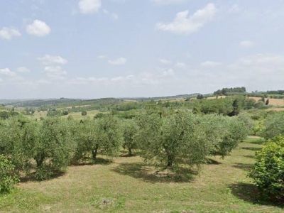 immagine annuncio 1 di 9