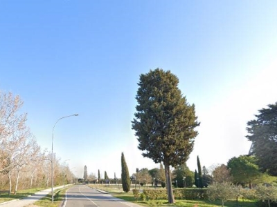 immagine annuncio 6 di 9