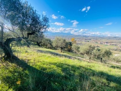 immagine annuncio 4 di 9