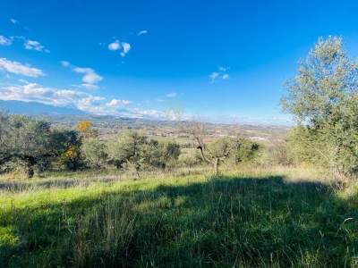 immagine annuncio 6 di 9