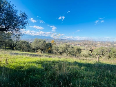 immagine annuncio 7 di 9