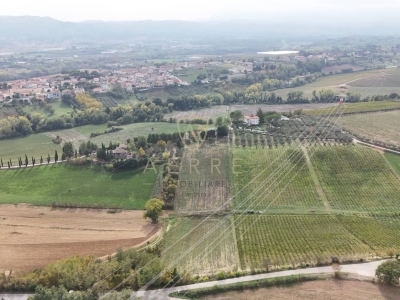 immagine annuncio 3 di 9