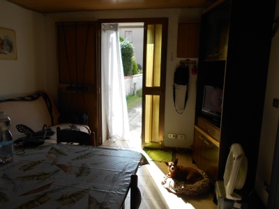 immagine annuncio 4 di 9