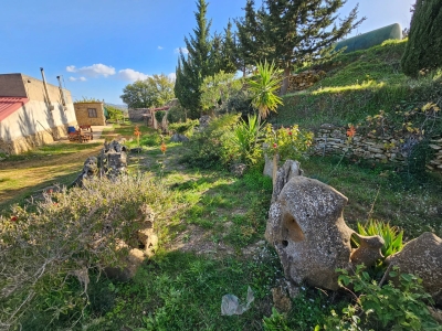 immagine annuncio 6 di 9