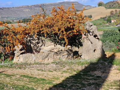 immagine annuncio 7 di 9