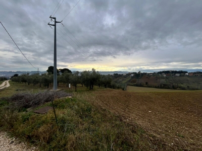 immagine annuncio 7 di 9