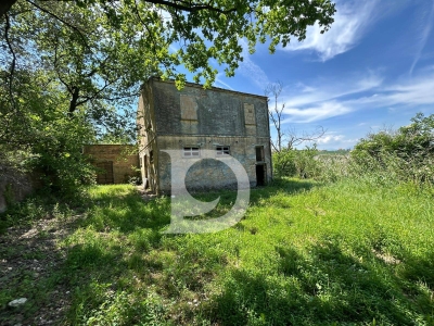 immagine annuncio 5 di 9