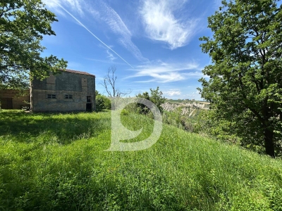 immagine annuncio 2 di 9