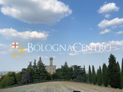 immagine annuncio 2 di 9