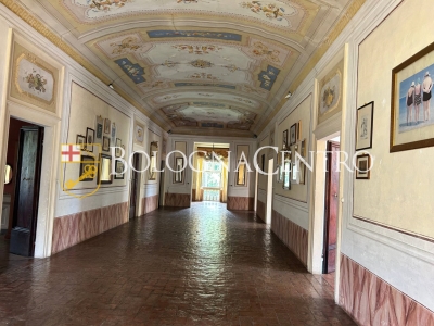 immagine annuncio 7 di 9