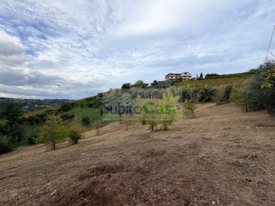 immagine annuncio 1 di 4