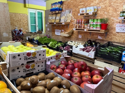 immagine annuncio 4 di 9