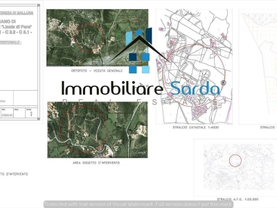 immagine annuncio 6 di 8