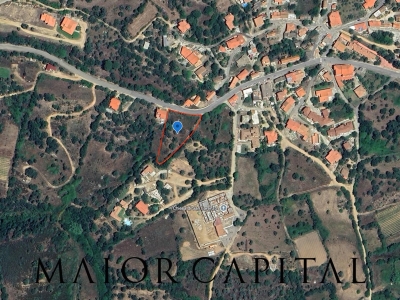 immagine annuncio 2 di 7
