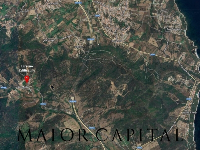 immagine annuncio 4 di 6