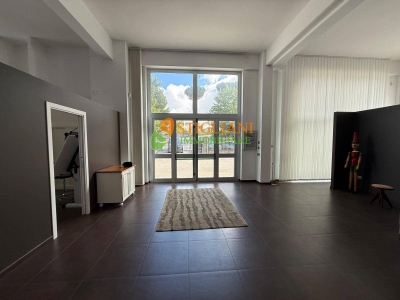 immagine annuncio 2 di 9