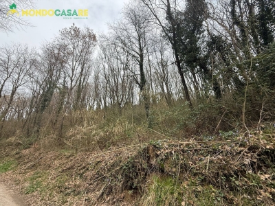 immagine annuncio 3 di 9