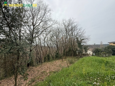 immagine annuncio 1 di 9
