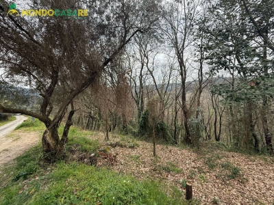 immagine annuncio 7 di 9