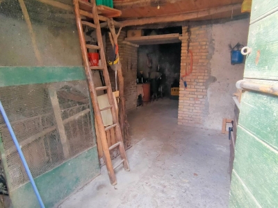 immagine annuncio 3 di 9