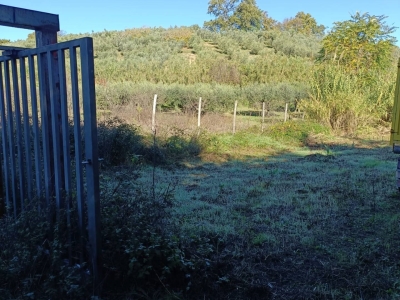 immagine annuncio 2 di 8