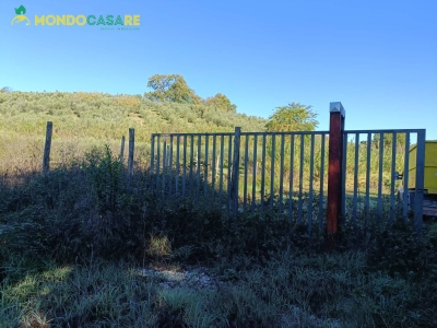 immagine annuncio 5 di 8