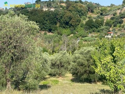 immagine annuncio 2 di 9