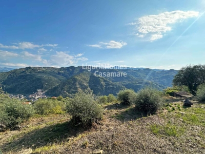 immagine annuncio 7 di 9