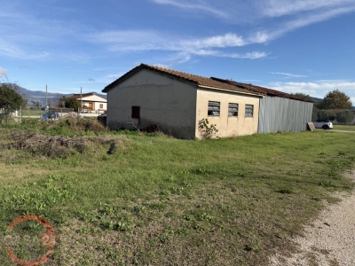 immagine annuncio 2 di 9