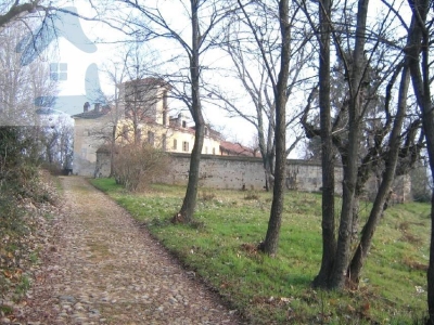 immagine annuncio 1 di 9