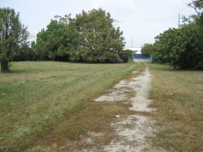 immagine annuncio 4 di 6