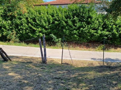 immagine annuncio 2 di 9