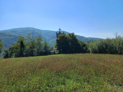 immagine annuncio 3 di 9