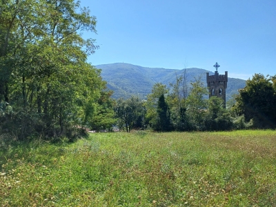 immagine annuncio 6 di 9