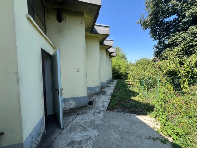 immagine annuncio 2 di 8