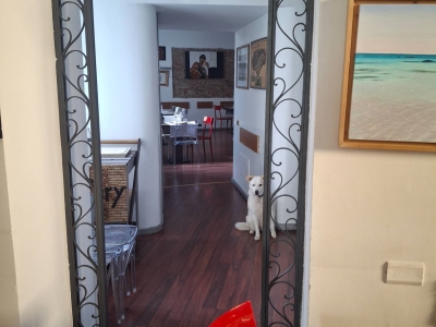 immagine annuncio 4 di 9