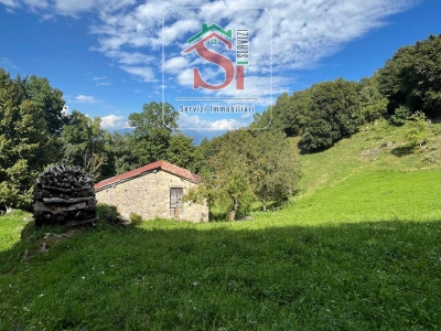 immagine annuncio 1 di 9