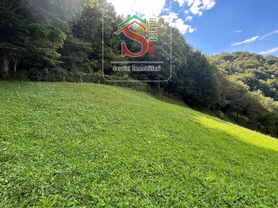 immagine annuncio 3 di 9