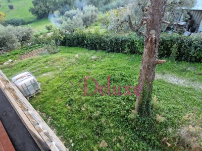 immagine annuncio 4 di 8