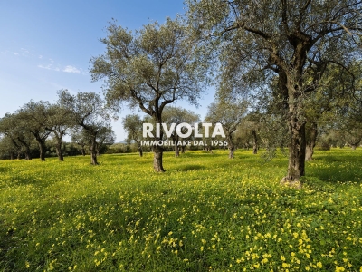 immagine annuncio 8 di 9